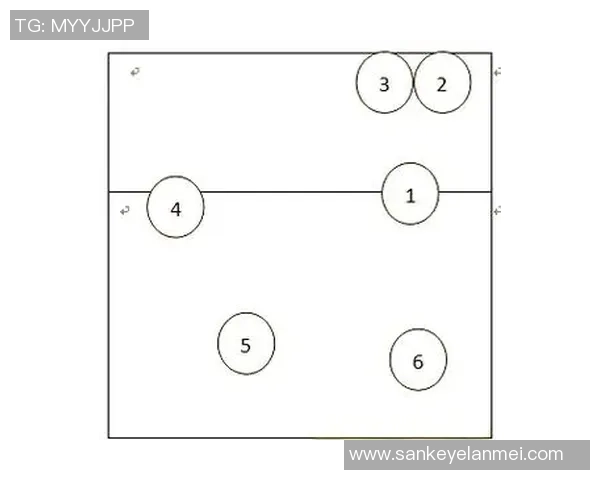 南京排球队的控制打法深度分析与战术解读