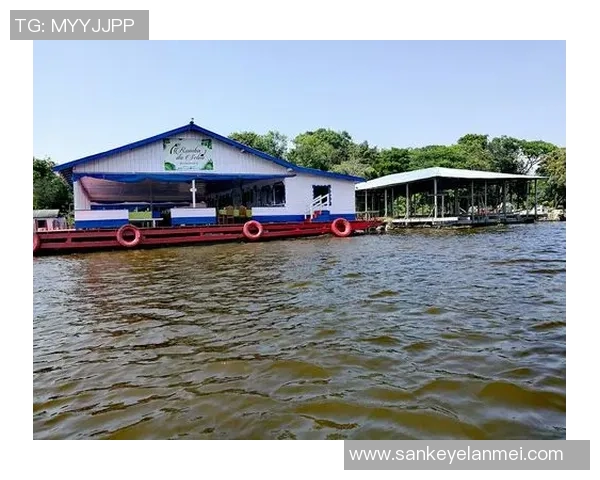 南美足球明星堪布斯的传奇人生与辉煌成就解析