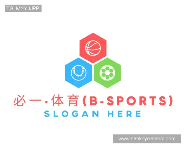 介绍bsports